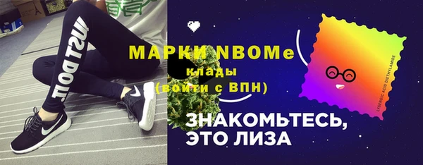 прущий лед Ельня