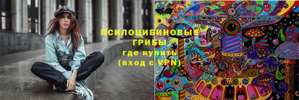 соль ск Елизово
