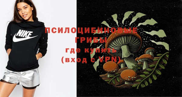 прущий лед Ельня