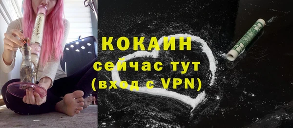 прущий лед Ельня