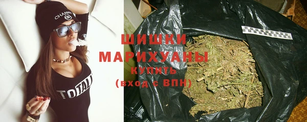 ГАЛЛЮЦИНОГЕННЫЕ ГРИБЫ Елабуга