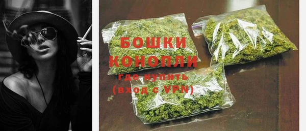 ГАЛЛЮЦИНОГЕННЫЕ ГРИБЫ Елабуга