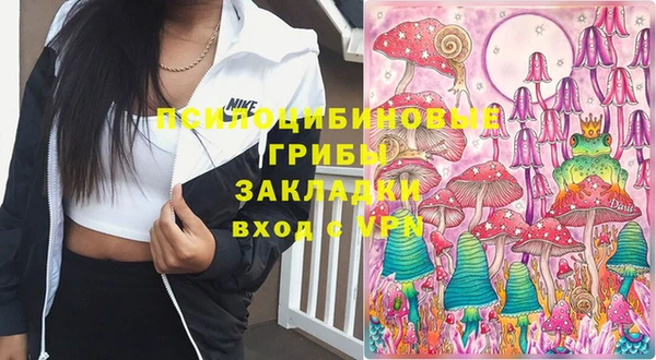 прущий лед Ельня