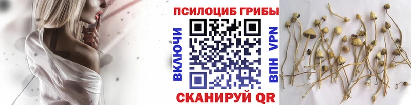 Галлюциногенные грибы прущие грибы  Сенгилей 